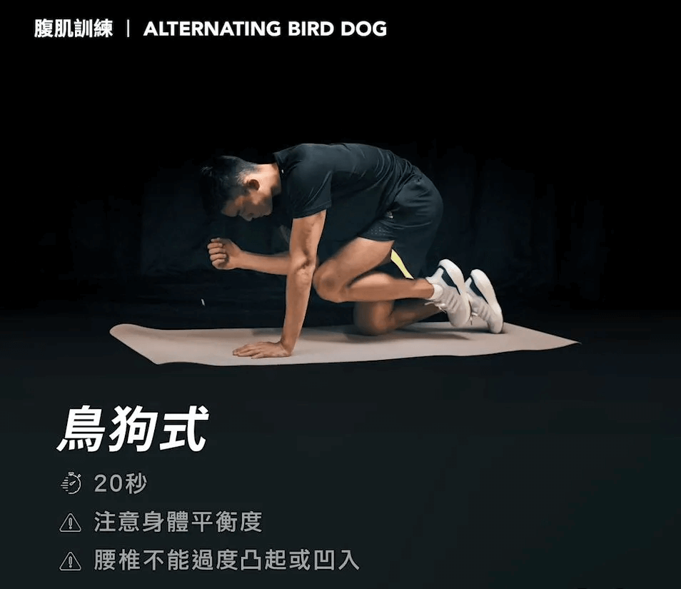 練腹肌：鳥狗式 (Alternating Bird Dog)